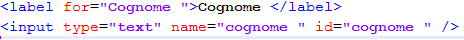 codice form html